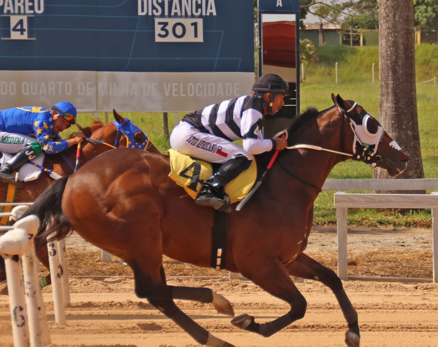 Chegada na pista de areia do Jockey Club de Sorocaba, cavalo com o número 4 à frente