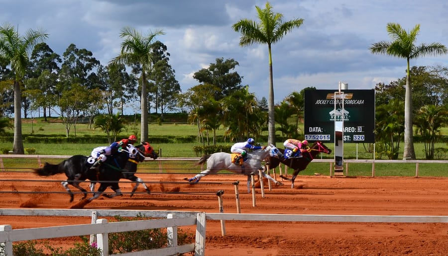 Pelotão na reta de areia com palmeiras e o placar do Jockey Club de Sorocaba ao fundo