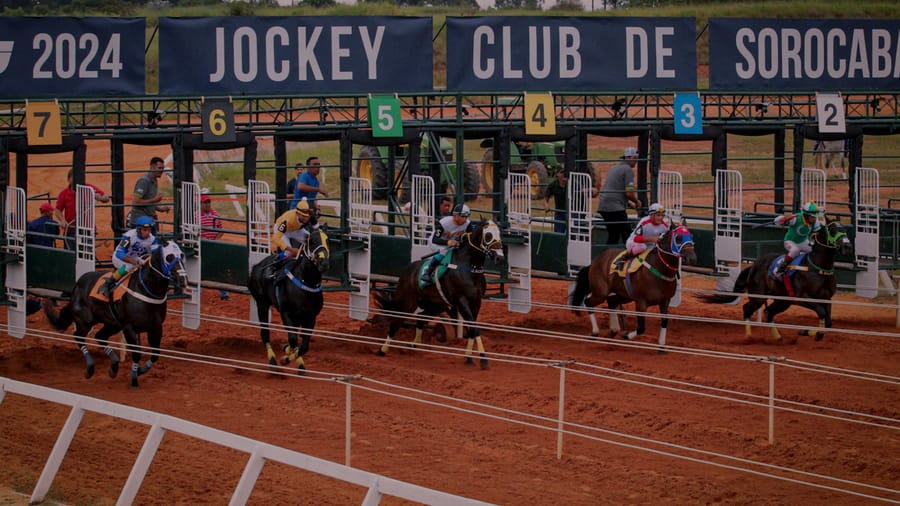 Largada no partidor numerado do Jockey Club de Sorocaba